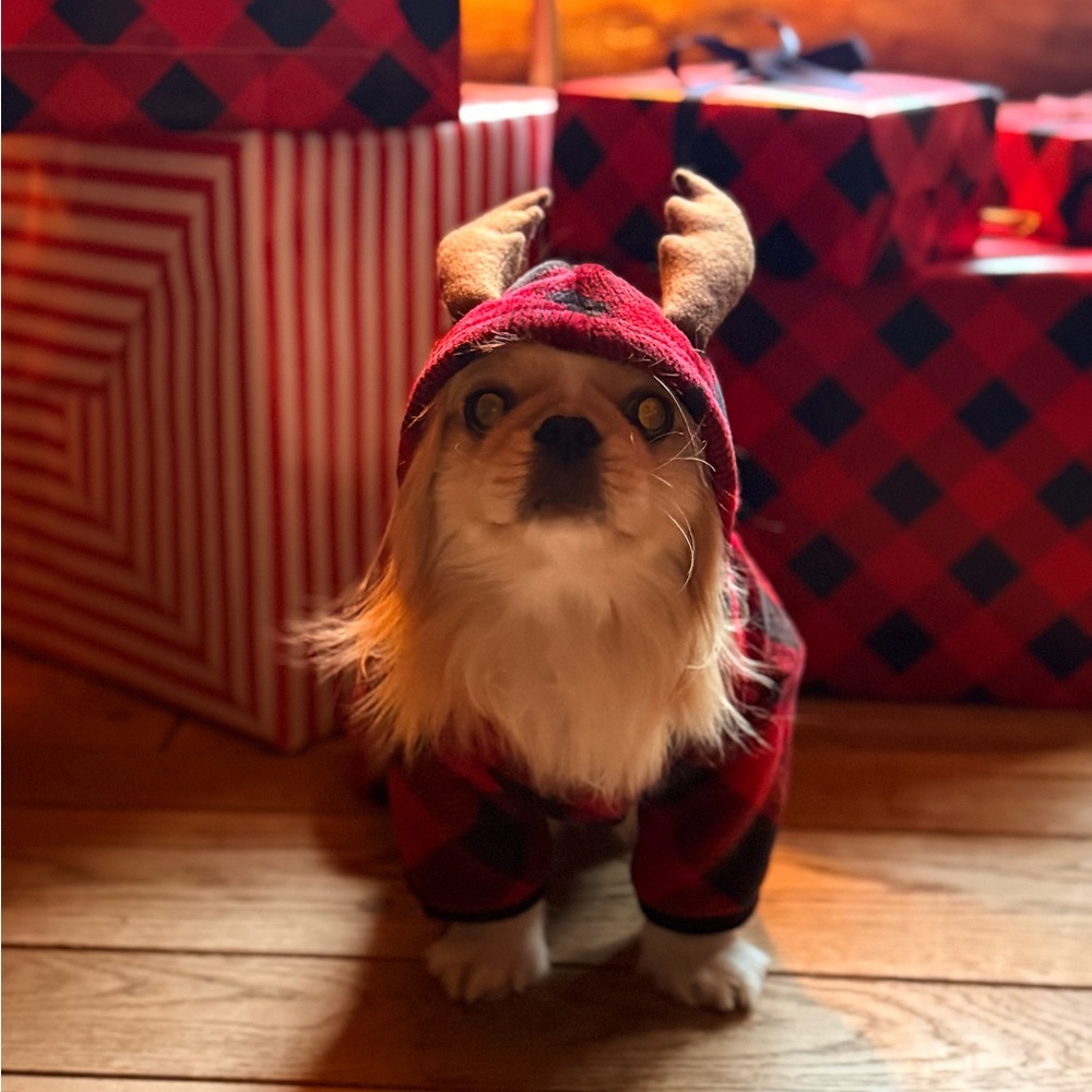 Red and Black Plaid Reindeer Dog Hoodie